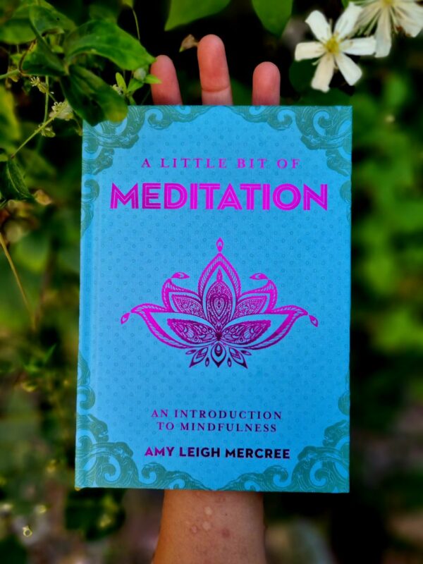 A little bit of meditation By: Amy Leogh Mercree